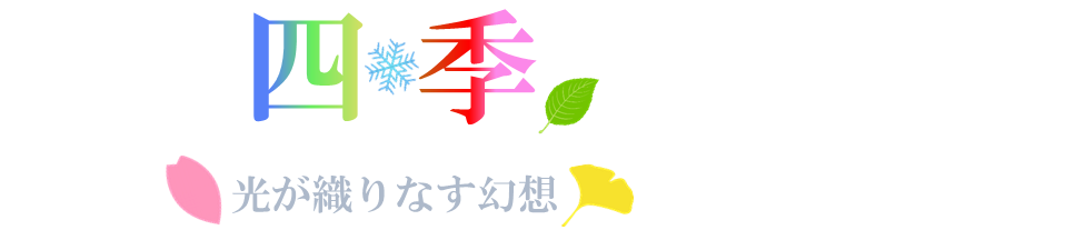 KUT+illumination 12月1日、点灯開始!